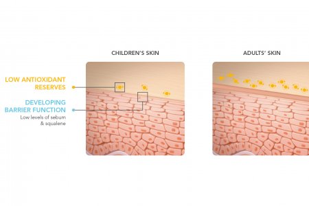 A gyermek és a felnőtt bőrbarrier közötti különbség grafikus ábrázolása.